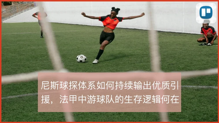 尼斯球探体系如何持续输出优质引援,法甲中游球队的生存逻辑何在
